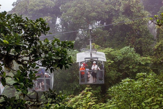 Sky Tram & Sky Trek From Monteverde - Key Points