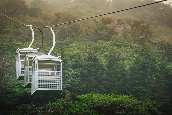 Sky Tram & Sky Trek From Monteverde - Tour Details