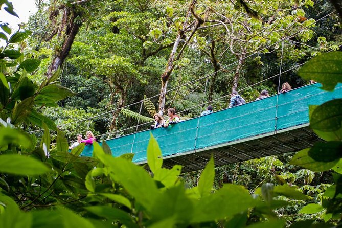 Sky Trek & Sky Tram at MONTEVERDE - Participation Guidelines