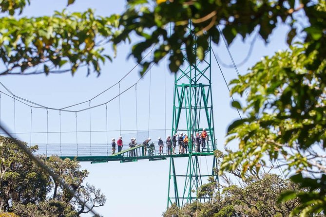 Sky Trek & Sky Tram at MONTEVERDE - Booking Information