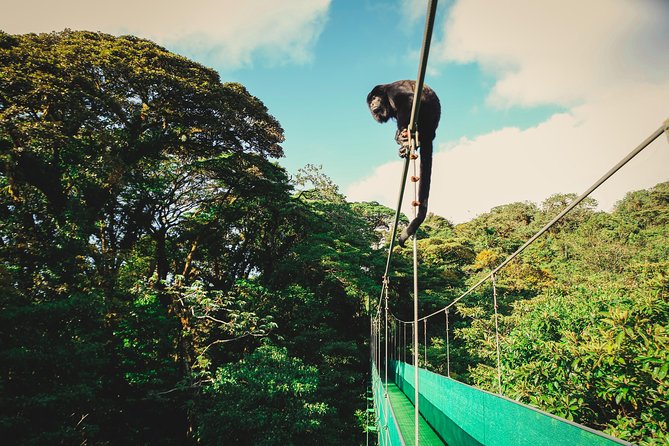 Sky Walk From Monteverde - Location and Accessibility