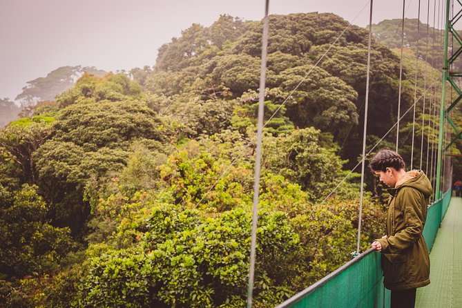 Sky Walk From Monteverde - Customer Feedback and Insights