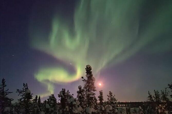 Skydome Aurora Viewing - The Sum Up