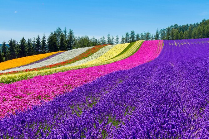 SkyExpress: Furano & Biei Customised Private Day Tour (Up to 3 Passengers) - Additional Services