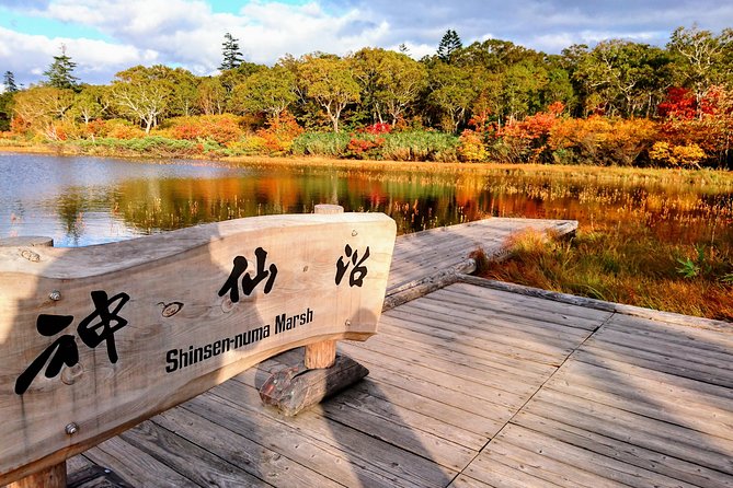 SkyExpress: Niseko Customised Private Day Tour (Up to 8 Passengers) - Key Points