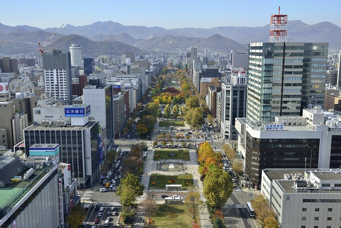 SkyExpress: Sapporo Customised Private Day Tour (Up to 8 Passengers) - Highlights: Fish and Crab Markets