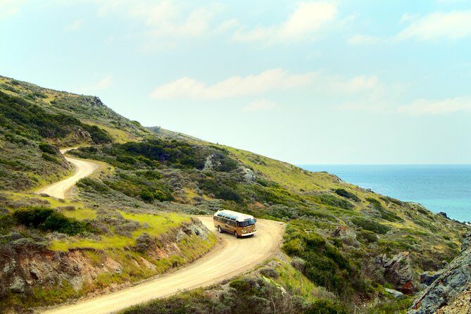 Skyline Drive: Catalina Inland Tour - Exploring Catalina Island’s Skyline Drive: A Detailed Review