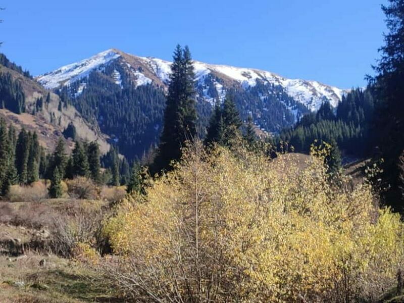 Skyline Hike in Almaty: Bukreev Peak - Key Points
