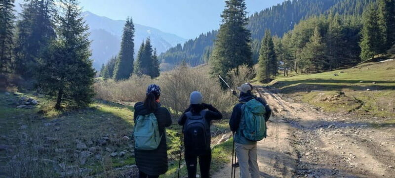 Skyline Hike in Almaty: Bukreev Peak - The Experience and Reviews: Authentic Insights