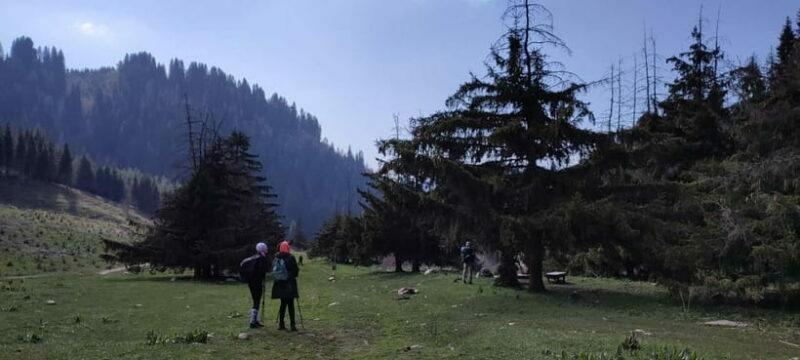 Skyline Hike in Almaty: Bukreev Peak - Practical Details and Value