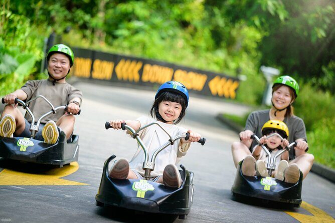 Skyline Luge and Sky Ride Singapore - Who Should Try It?