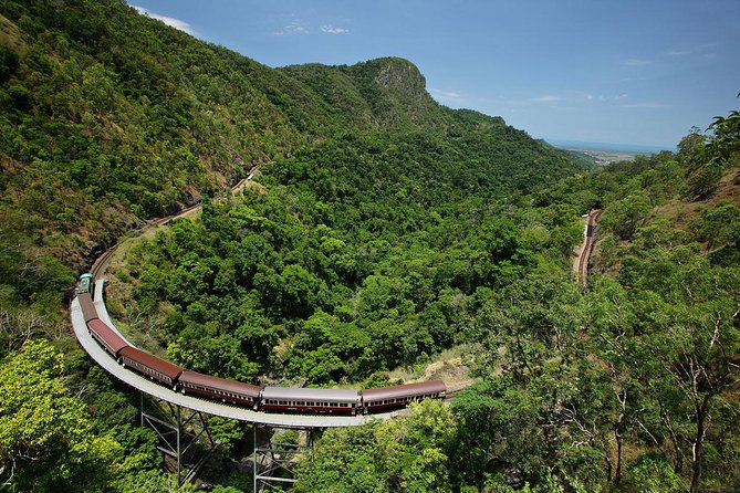 Skyrail Rainforest Cableway Day Trip From Port Douglas - Scenic Vistas From Skyrail