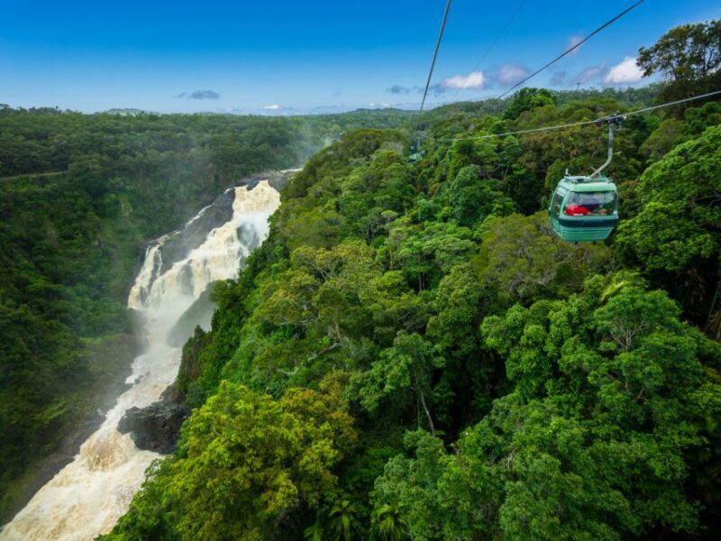 Skyrail Rainforest Cableway Round-Trip Experience - Journey Highlights