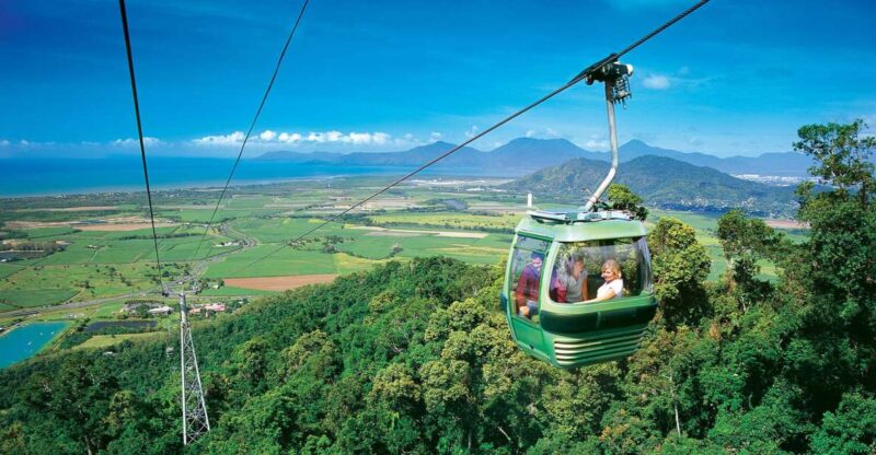 Skyrail Rainforest Cableway Round-Trip Experience - Additional Features