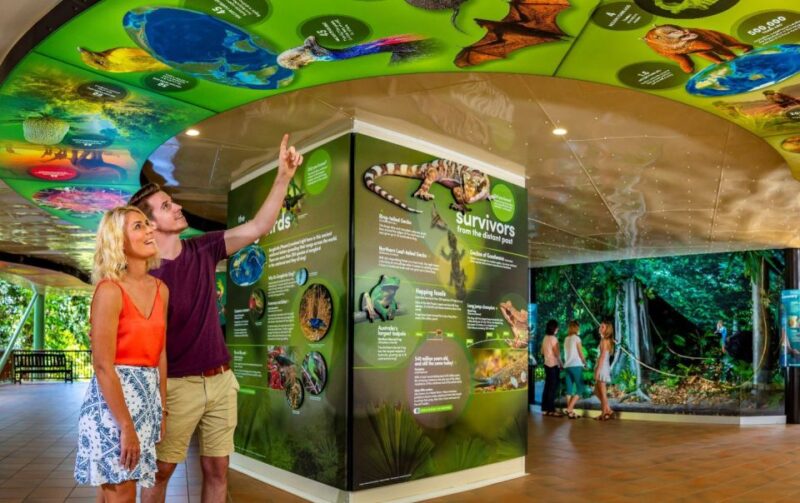 Skyrail Rainforest Cableway Round-Trip Experience - Departure and Accessibility