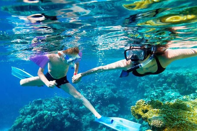 SkyReef Cozumel Snorkel & Tequila Tasting - Tequila Tasting Details