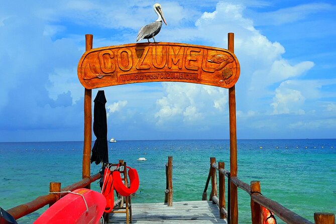 SkyReef Cozumel Snorkel & Tequila Tasting - Cancellation and Booking Information