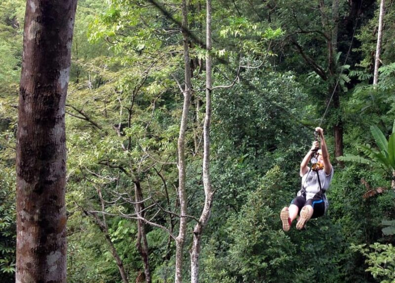 SKYTREX Adventure Sungai Congkak Half Day Activity - Pricing and Inclusions
