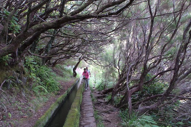 Skywalk 4x4 Experience and Rabacal 25 Fountains Levada Walk - Meeting and Pickup