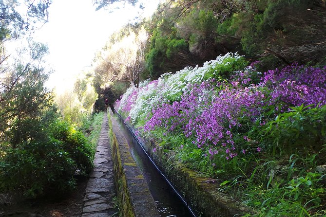 Skywalk 4x4 Experience and Rabacal 25 Fountains Levada Walk - Additional Information