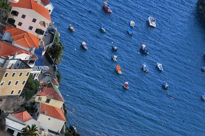 Skywalk, Vineyards, Landscapes and 4x4 Experience in Madeira - Taking in Estreito De Câmara Do Lobos
