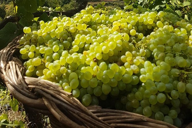 Skywalk With Wines Tasting and Vineyards Half Day 4x4 Adventure - Local Wines and Vineyards