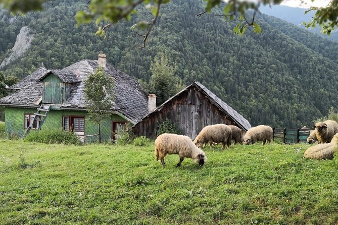 Slanic Salt Mines & Village Charms: Bucharest Day Escape - Tour Reviews