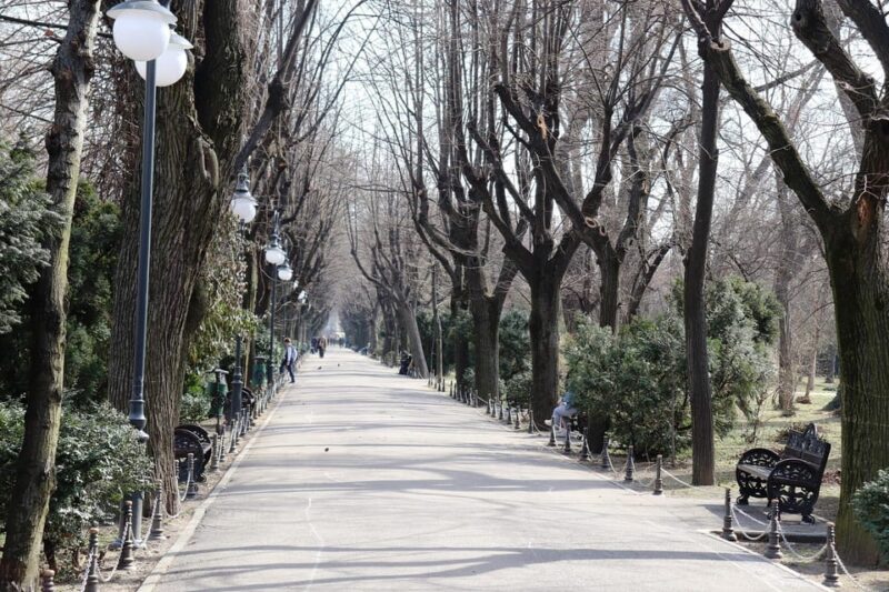 Slavery in Romania:Myths and Truths on Gypsies, Walking Tour - Itinerary Highlights