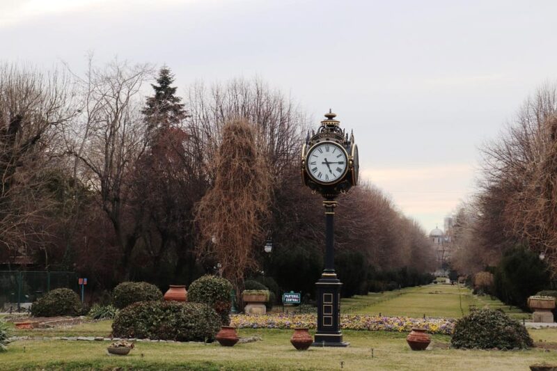 Slavery in Romania:Myths and Truths on Gypsies, Walking Tour - Customer Reviews and Feedback