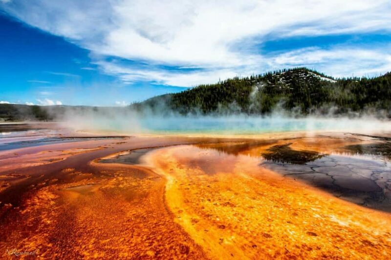 SLC:Grand Teton and Yellowstone National Park Multi-Day Tour - Key Points