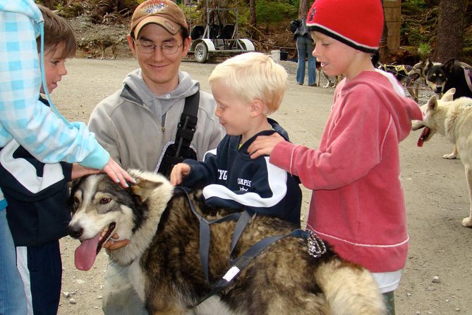 Sled Dog Discovery in Juneau - Whats Included in the Experience