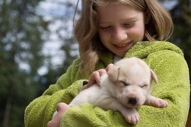 Sled Dog Discovery in Juneau - Additional Important Information