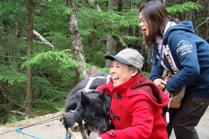 Sled Dog Discovery in Juneau - Tour Duration and Itinerary
