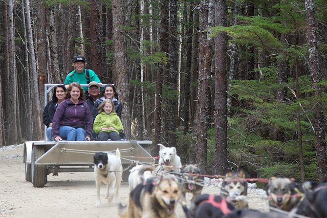 Sled Dog Discovery in Skagway - Tongass National Park