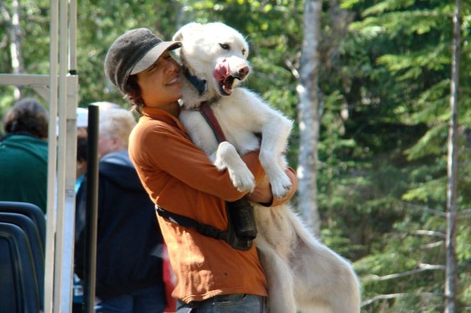 Sled Dog Discovery in Skagway - Husky Puppy Play