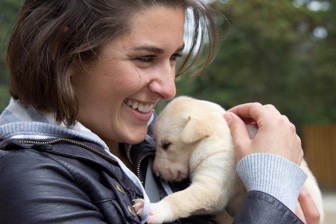 Sled Dog Discovery in Skagway - Cancellation Policy