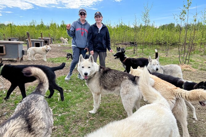 Sled Dog Kennel Tour - Additional Tour Information