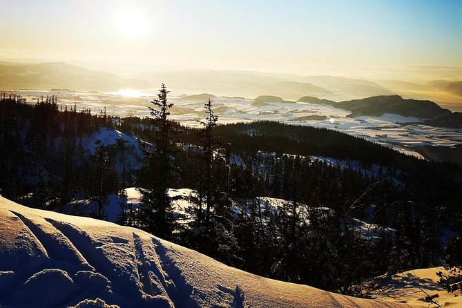 Slegding and Tram-Tour - Northernmost Tram Ride and Sledding Fun