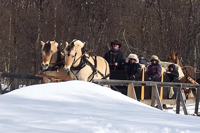 Sleigh Ride W/ Snacks - Experience Arctic Farm Life - Activity Details