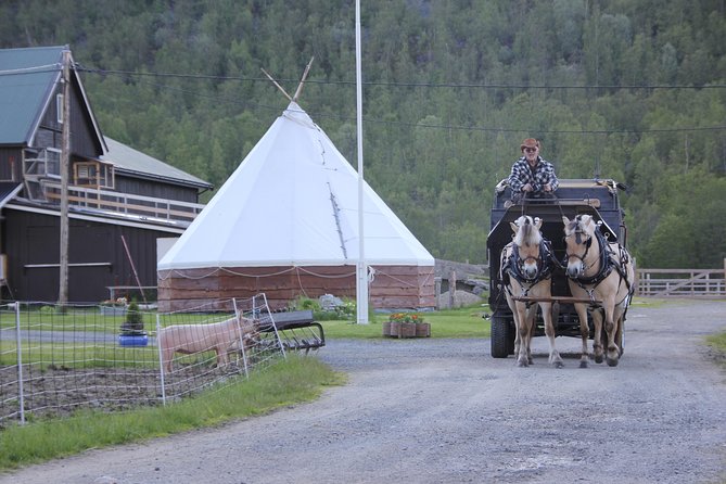 Sleigh Ride W/ Snacks - Experience Arctic Farm Life - Included Amenities