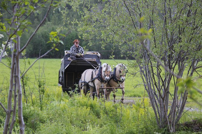 Sleigh Ride W/ Snacks - Experience Arctic Farm Life - Guest Experiences