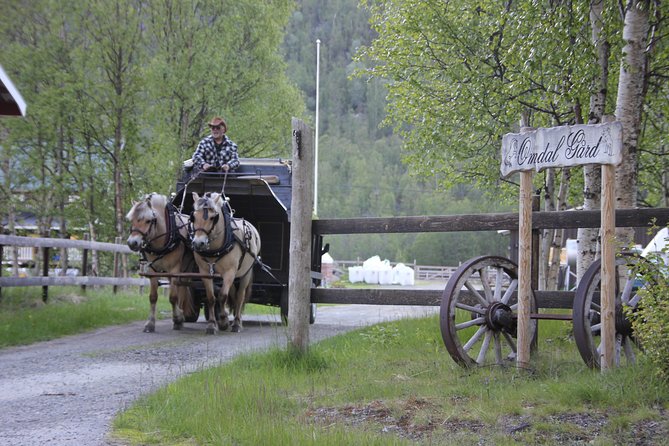 Sleigh Ride W/ Snacks - Experience Arctic Farm Life - Accessibility Information