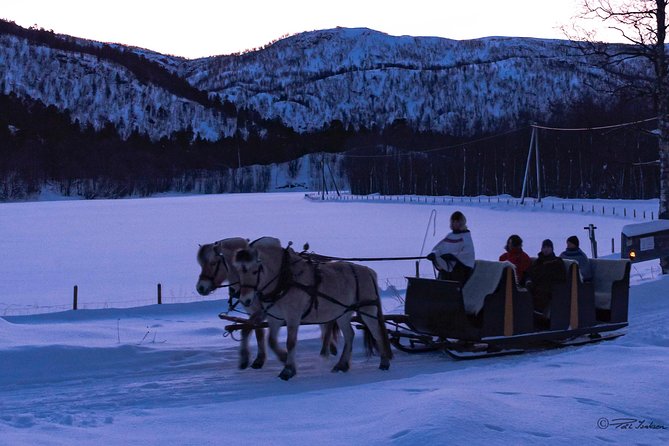Sleigh Ride W/ Snacks - Experience Arctic Farm Life - Host Appreciation