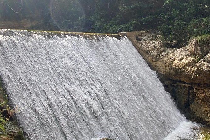 Slide Down the Largest Waterslide in Puerto Rico With Transportation - Positive Guest Reviews