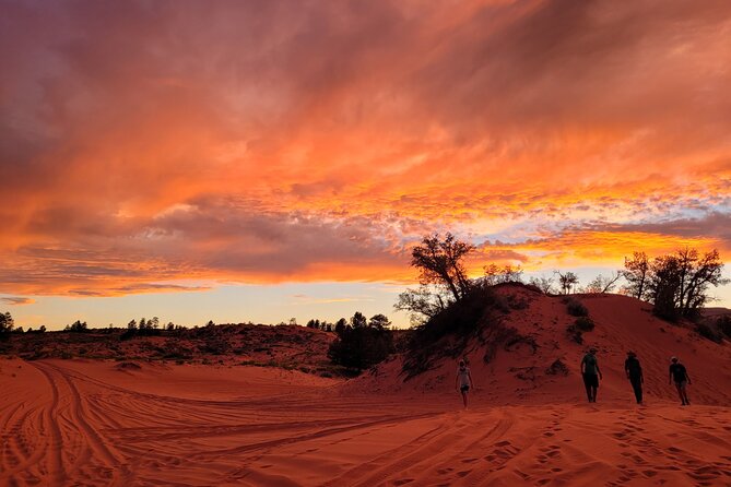 Slot Canyon Tour & Sandboarding UTV Adventure - Tour Highlights
