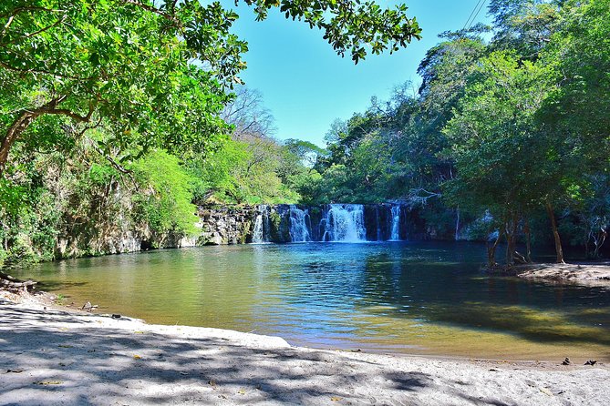 Sloth Adventure From Guanacaste - Recap