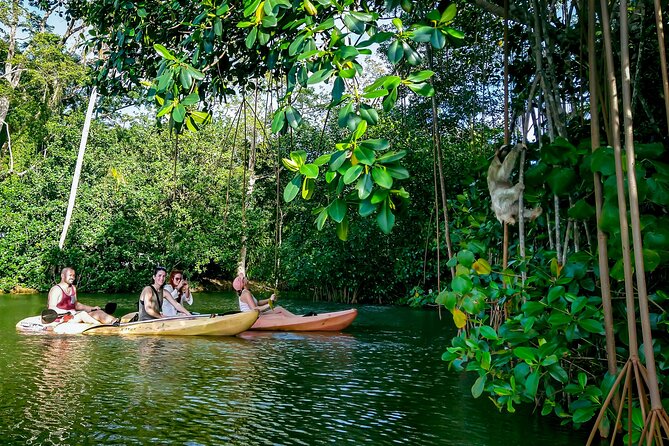 Sloth and Kayak Tour in Punta Uva Beach and Jungle - Wildlife Experiences