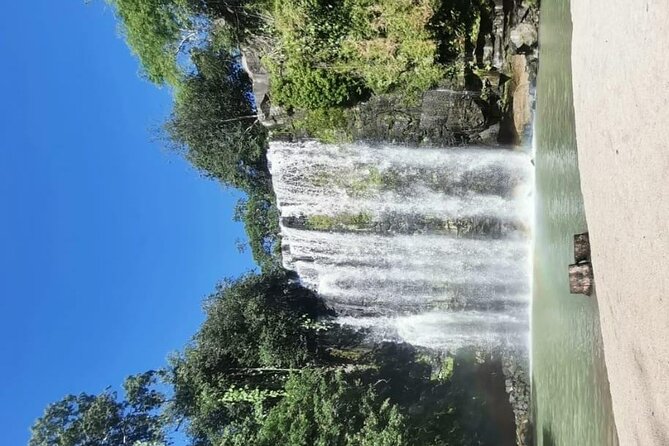Sloth Forest Tour, Organic Coffee and Chocolate Tour and Waterfall - Transportation and Meeting Information