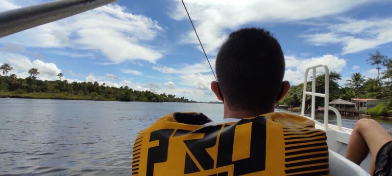 Sloth River Speedboat Tour - Highlights of the Tour