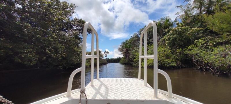 Sloth River Speedboat Tour - Exploring the Pequenos Lençóis
